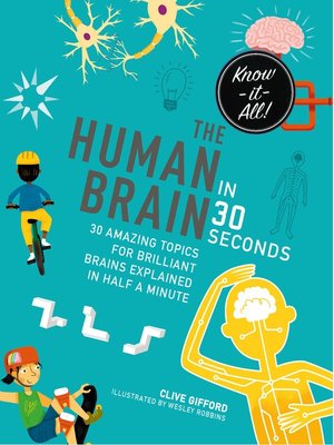 cover image of The Human Brain in 30 Seconds
